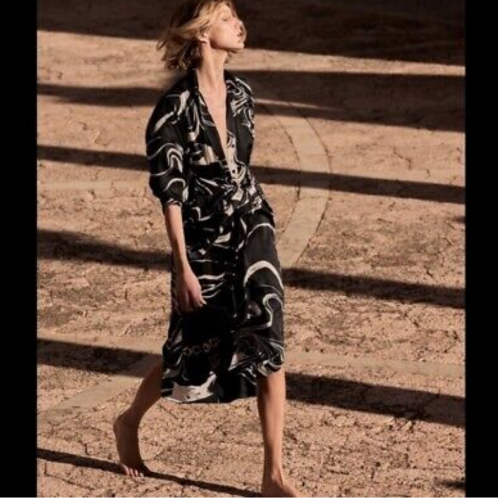 Zara dress